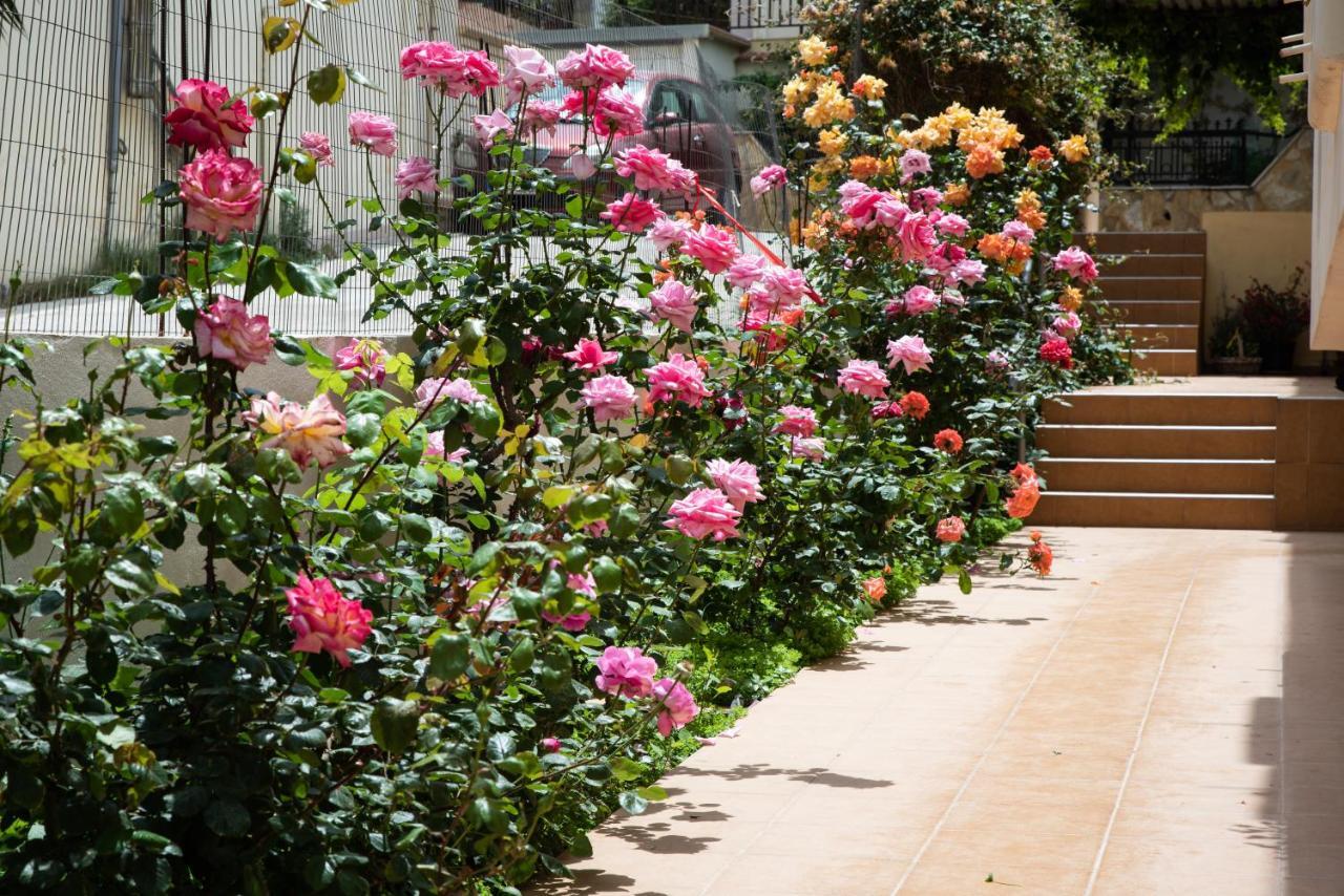 Dreamy Holidays Apartment Chania  Exterior photo